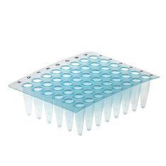 Simport Scientific Thin Wall PCR Plates, Polypropylene, Blue, 50/Cs