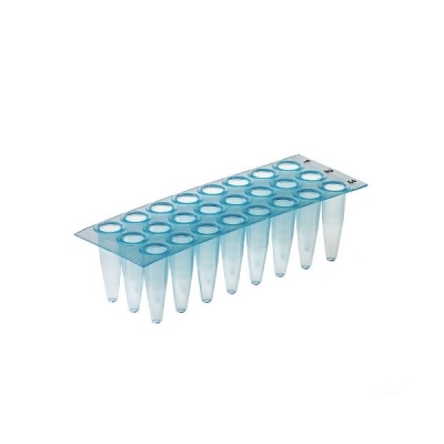 Simport Scientific Thin Wall PCR Plates, Polypropylene, Blue, 50/Cs